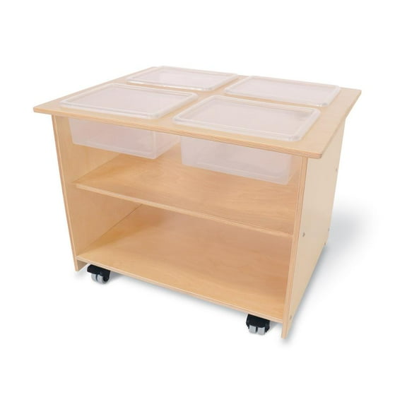 Whitney Brothers Mobile Sensory Table With Trays And Lids