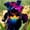 B, variant on Perennial Hardy - Iris Bulbs/Roots - Low Maintenance - Ideal for Garden Borders, Plant Hangers