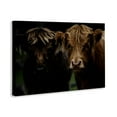 thumbnail image 4 of Cow Faces Highland Pair Canvas Wall Art, design by Amy Carroll, 4 of 8