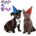 thumbnail image 3 of Bienvenido gato y perro falda de cumpleaños fiesta tirar bandera bufanda sombrero accesorios de decoración, 3 of 5