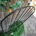 thumbnail image 6 of Expert Gardener 72in H x 20.5in W Black Powder-Coated Steel Arched Lawn and Garden Trellis with spiked feet, 6 of 10