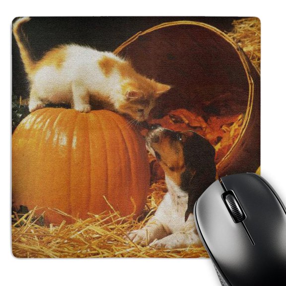 3dRose, Kitten, Puppy and Pumpkin on Canvas, MousePad