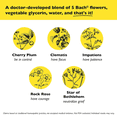 thumbnail image 4 of Bach RESCUE Remedy Dropper, 10 mL, 4 of 6