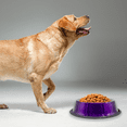 thumbnail image 5 of Plato Para Perro Tazón Grande Morado Importadora La Merced Aluminio Antiderrapante, 5 of 5
