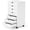 White, variant on 5 Drawer Mobile File Cabinet Under Desk Storage Organization with Wheels Vertical Filing Chest Rolling Wood Small Desk Printer Stand for Home Office