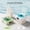 Sea Salt White, variant on ENYOUNG Ocean Wave Projector Vinyl Record Player White Noise Machine Sound Relaxation Speaker, Seaweed Green (6.7 x 5.9 x 3.1 Inches / 17.0 x 15.0 x 8.0 cm)