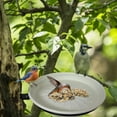 thumbnail image 3 of Comedero para colibríes, comedero para pájaros colgante para jardín al aire libre, 3 of 4