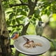 thumbnail image 3 of Price cut Hummingbird Feeder Outdoor Garden Hanging Bird Feeder, 3 of 4