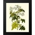 thumbnail image 2 of Unknown 12x14 Black Modern Framed Museum Art Print Titled - Olive Greenery VI, 2 of 5