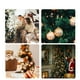 thumbnail image 5 of Adornos navideños, juego de adornos de bolas navideñas compatibles con el árbol de Navidad, compatible con vacaciones, fiestas, Halloween, Acción de Gracias, decoración navideña, 5 of 5