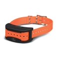 thumbnail image 1 of SportDOG Brand Contain + Train Add-A-Dog Collar - Additional, Replacement, or Extra In-Ground Fence + Remote Training Collar - Waterproof and Rechargeable with Tone, Vibrate, and Shock, 1 of 6