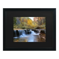 Trademark Fine Art 'Zion Autumn' Canvas Art by Pierre Leclerc