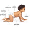 thumbnail image 4 of Hello Bello Premium Overnight Baby Diapers Size 5 I 18 Count of Ultra Absorbent and Super Soft Nighttime Disposable Diapers for Babies and Toddlers I Sleepy Sloths, 4 of 4