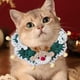 thumbnail image 4 of Mom's Best Collar navideño de punto para gatos, ajustable y desmontable, para perros y gatos pequeños y medianos, cuello de 13 a 19 cm, 4 of 6