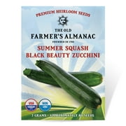 The Old Farmer's Almanac Heirloom Summer Squash Seeds (Black Beauty Zucchini) - Approx 60 Seeds