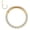 Golden-Front, variant on Titanium Micro Cubic Zirconia Hinged Nose Hoop Ring Body Jewelry Unisex