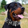 thumbnail image 2 of Stylish Leather Dog Collars with Sharp Points for Large Breeds like Pitbulls and Mastiffs, 2 of 5