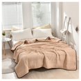 thumbnail image 1 of The Ultra Cooling Blanket For Full Twin Beds Ultra Soft Washable Blankets For Adults Kids, 1 of 3