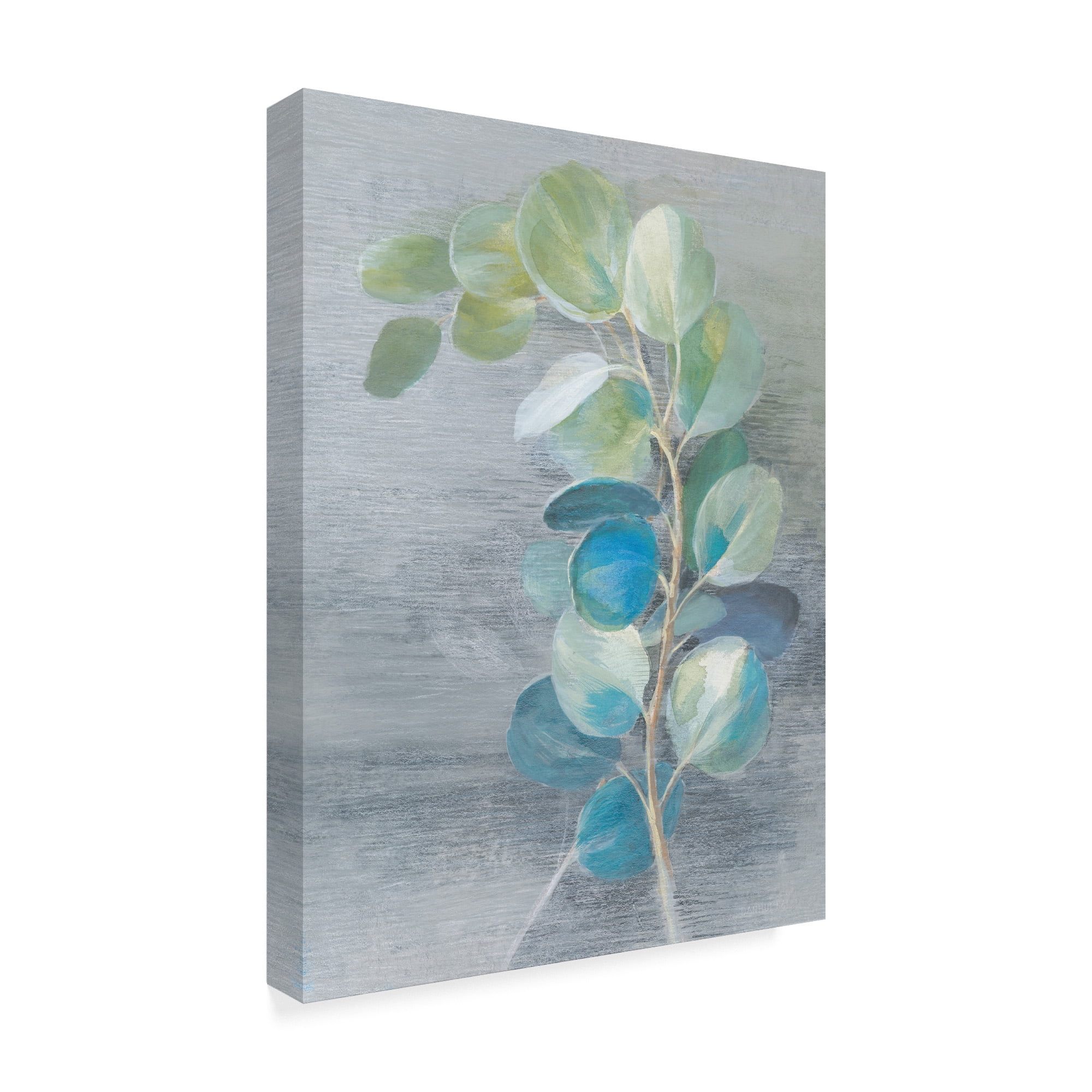 Trademark Fine Art 'Fresh II Light' Canvas Art by Danhui Nai