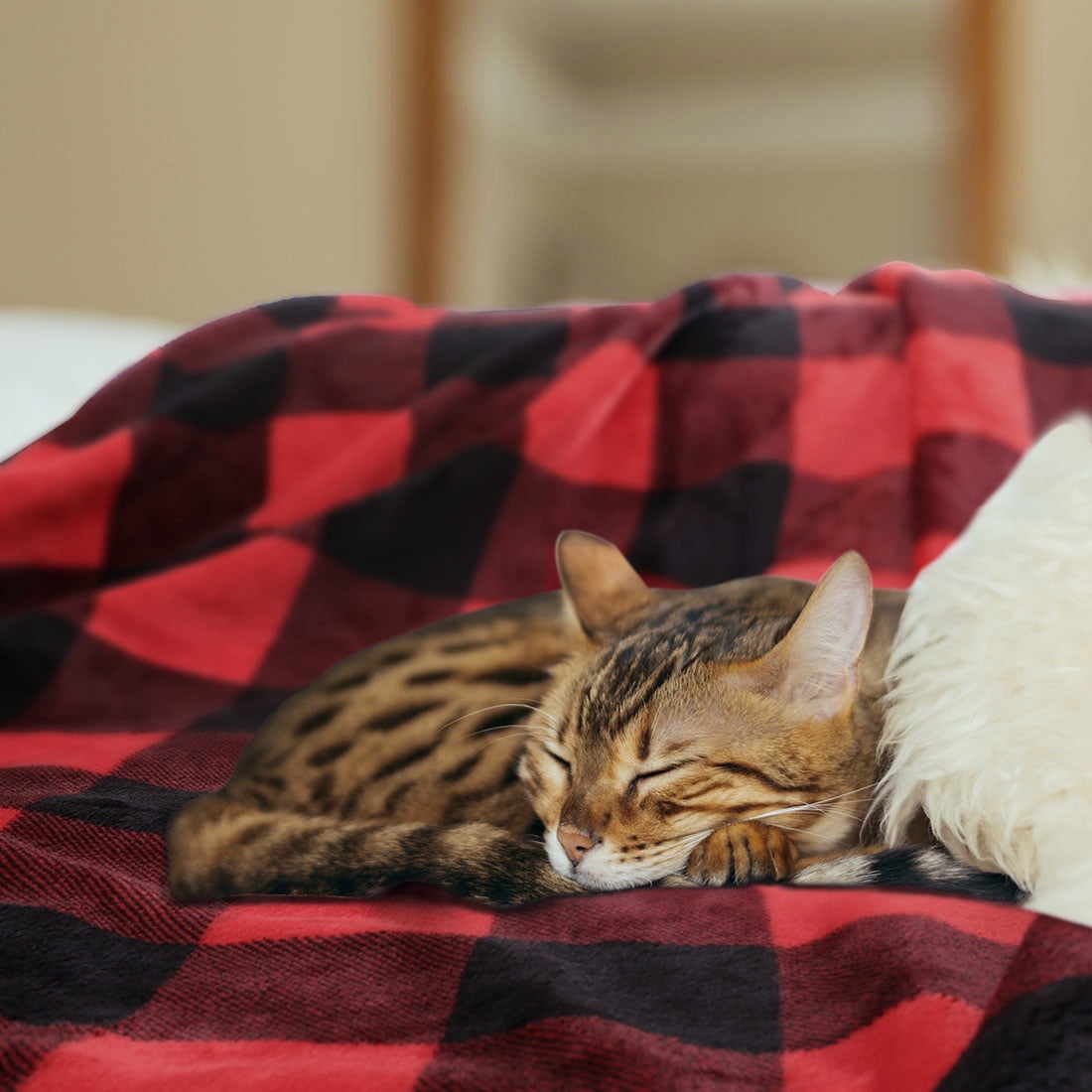 Plaid Soft Plush Fleece Blanket for Sofa Couch Bed, 30" x 40", Scarlet+Black