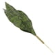 thumbnail image 2 of Planta serpiente artificial, planta serpiente de hojas verdes, adorno decorativo., 2 of 7