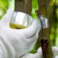 thumbnail image 2 of 1/5 piezas de película de injerto autoadhesiva y biodegradable para cinta de injerto de vivero de plantas, 2 of 6
