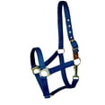 thumbnail image 3 of Gatsby Nylon Safety Breakaway Halter Foal Blue, 3 of 9