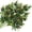 Rustic Green, variant on Zukuco Artificial Thistle Flowers Real Touch 6 Stems Rustic Blue Thistle Decor Spray Eryngium Sea Holly for Wedding Bouquet Centerpiece Decor(Rustic Green)