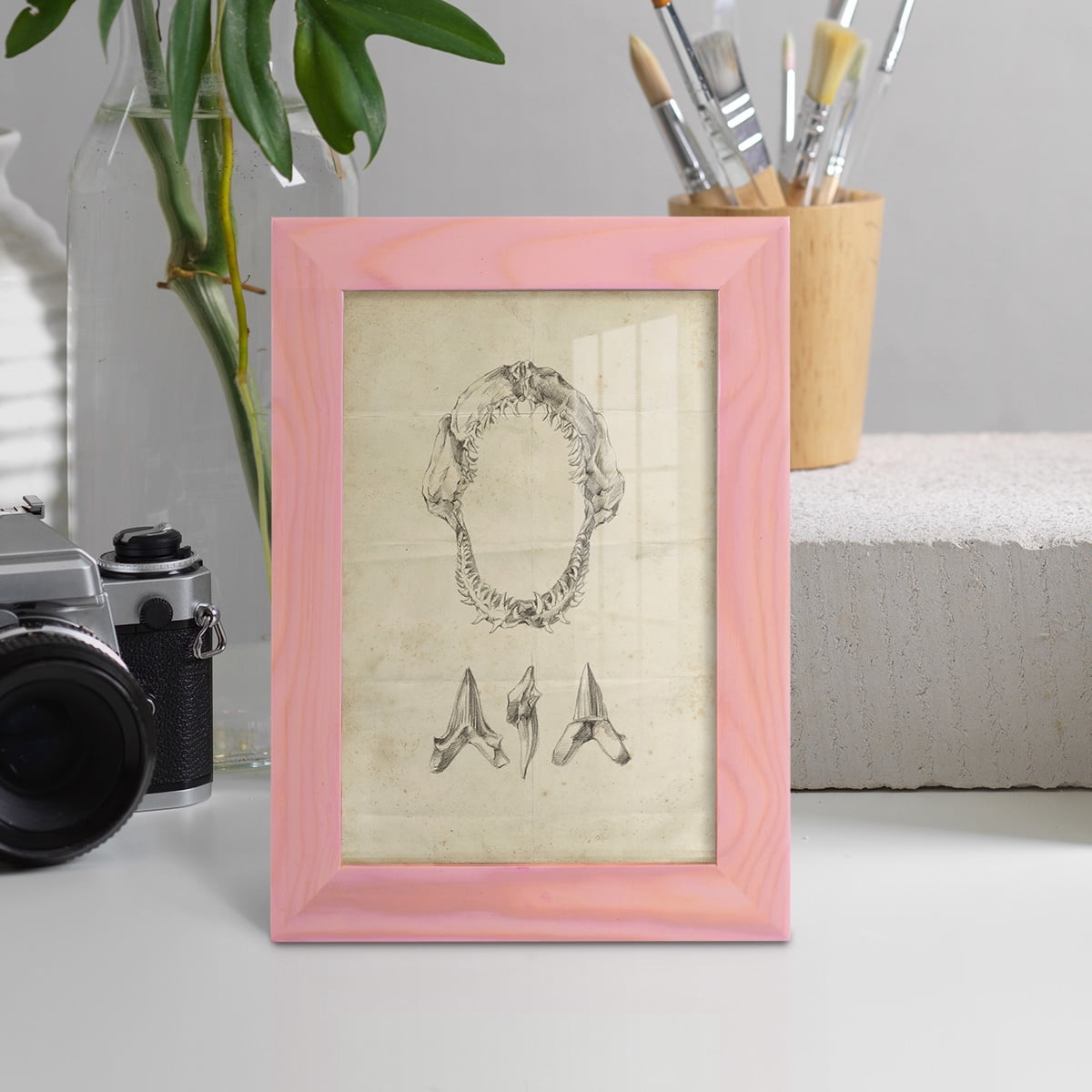 Shark Study I - Framed Print w/glass - Sunset Pink
