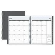 Blue Sky Basic 8" x 11" Weekly/Monthly Planner