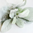 thumbnail image 6 of Travelwant 10Pcs/Bouquet Artificial Flowers Flocked Rabbit Ear Leaf, Faux Lambs Ear Stems 5Pcs Flocked Artificial Greenery Solid Spray Fake Rabbit Ear Leaves for Home Wedding DIY Craft, 6 of 7