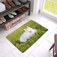 thumbnail image 3 of MKHERT Little Fluffy Rabbit Outdoors in Summer Cute Animal Doormat Rug Home Decor Floor Mat Bath Mat 23.6x15.7 inch, 3 of 3