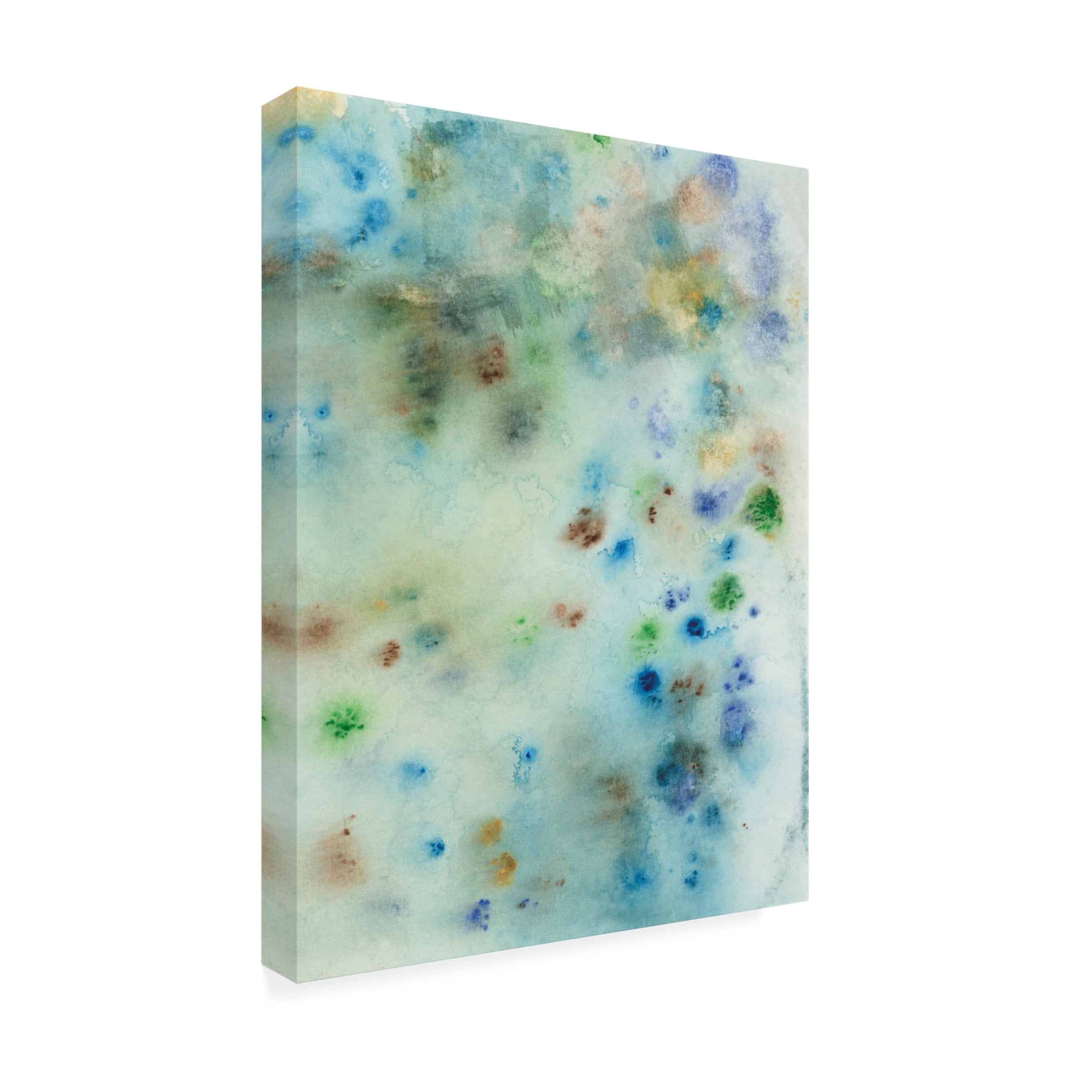 Canvas Wall Art - Jodi Fuchs 'Hawaiian Rain IV' Wall Art for Living Room, Bedroom, or Office Décor by Trademark Fine Art - 14 x 19 Inches