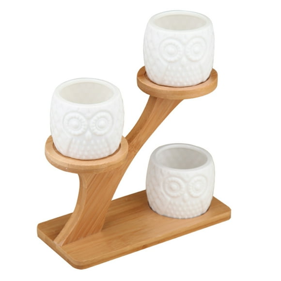 FELTECHELECTR Unique Owl Ceramic Planter Pot Bamboo Shelf For Small Plants Desk And Kitchen Counter