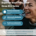 thumbnail image 4 of Igennus Super Vitamin B12 Complex 1000mcg Sublingual - Methylated & Clean, Adenosylcobalamin, Methylcobalamin & Hydroxocobalamin, High Absorption, 180 Servings, Sugar-Free & Vegan, 4 of 11
