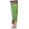 Hawaiian Luau Raffia Grass Pom Poms (2pc)