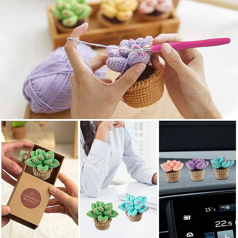 NOGIS 4Pcs Crochet Kit for Beginners, Succulents Crochet Potted Kit Fun  Potted Crochet Kit for Adults and Kids, DIY Crochet Potting Kit with  Step-by-Step Instructions and Video Tutorials 