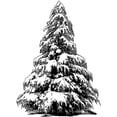 thumbnail image 2 of Crafty Individuals Unmounted Rubber Stamp 2.75"X3.75" Large Christmas Tree, 2 of 2