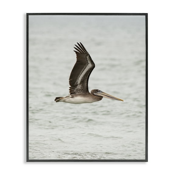 Stupell Industries Pelican Over Sea Animals Photography Black Framed Art Print Wall Art, 11 x 14