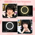 thumbnail image 4 of Godox LR120 12 Inch LED Ring Light Studio Photography Fill-in Light 3000K-6000K Bi-Color Temperature Adjustable Brightness USB Powered with Phone Holder for Live Streaming Selfie Makeup Portrait Photo, 4 of 7