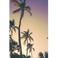 thumbnail image 2 of Navas, Emily 17x24 Gold Ornate Wood Framed with Double Matting Museum Art Print Titled - Evening Palms, 2 of 4