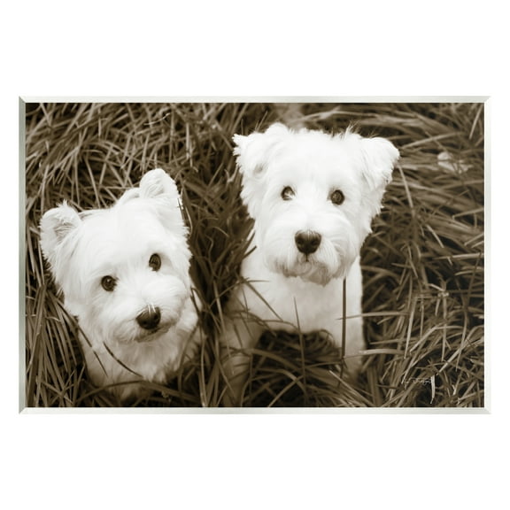 Stupell Industries White Terrier Puppies Animals & Insects Photography Unframed Art Print Wall Art, 15 x 10