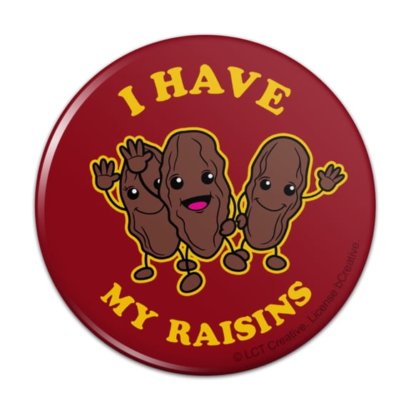 I Have My Raisins Reasons Funny Humor Pinback Button Pin
