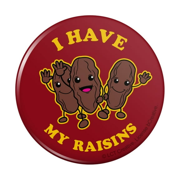 I Have My Raisins Reasons Funny Humor Pinback Button Pin