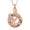 Rose Gold-Pink, variant on Crystal Eagles Cremation Jewelry Eagle Urn Necklace for Ashes With Circle Crystal Memorial Keepsake W/Funnel Filler Memorial Jewelry Gifts for Women Men