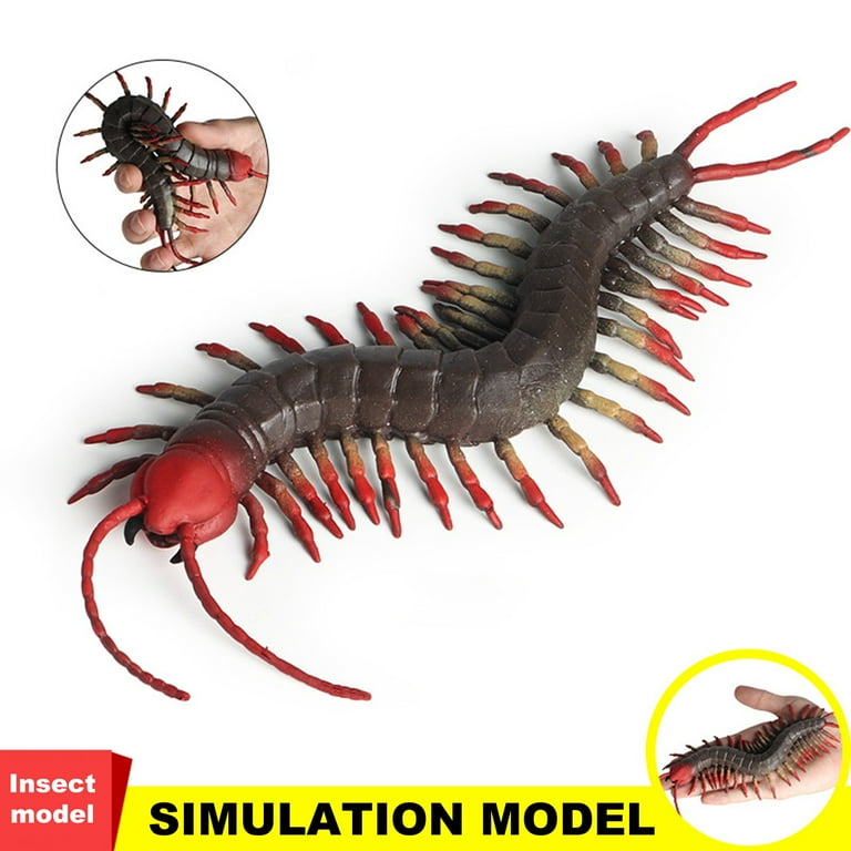 Rubber sales centipede toy