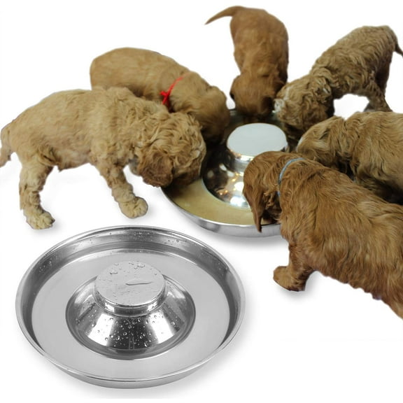 Stainless Steel Puppy Dog Bowls 2 Pack, Pets Puppies Feeding Food and Water Weaning Bowls Dishes Feeder