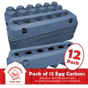 Vented Paper Pulp Egg Cartons - Blue (12)