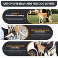 thumbnail image 5 of Duuclume Dog Lift Harness for Small Medium Large Dogs, Adjustable Back Legs Support Dog Harness(M), 5 of 5