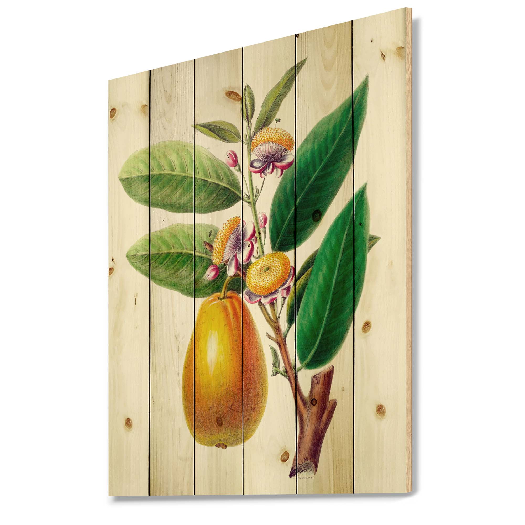 Designart 'Ancient Fruits I' Farmhouse Print on Natural Pine Wood